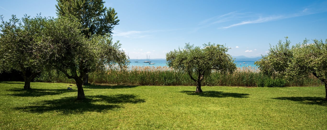 Riviera Degli Ulivi Costa Est Del Lago Di Garda